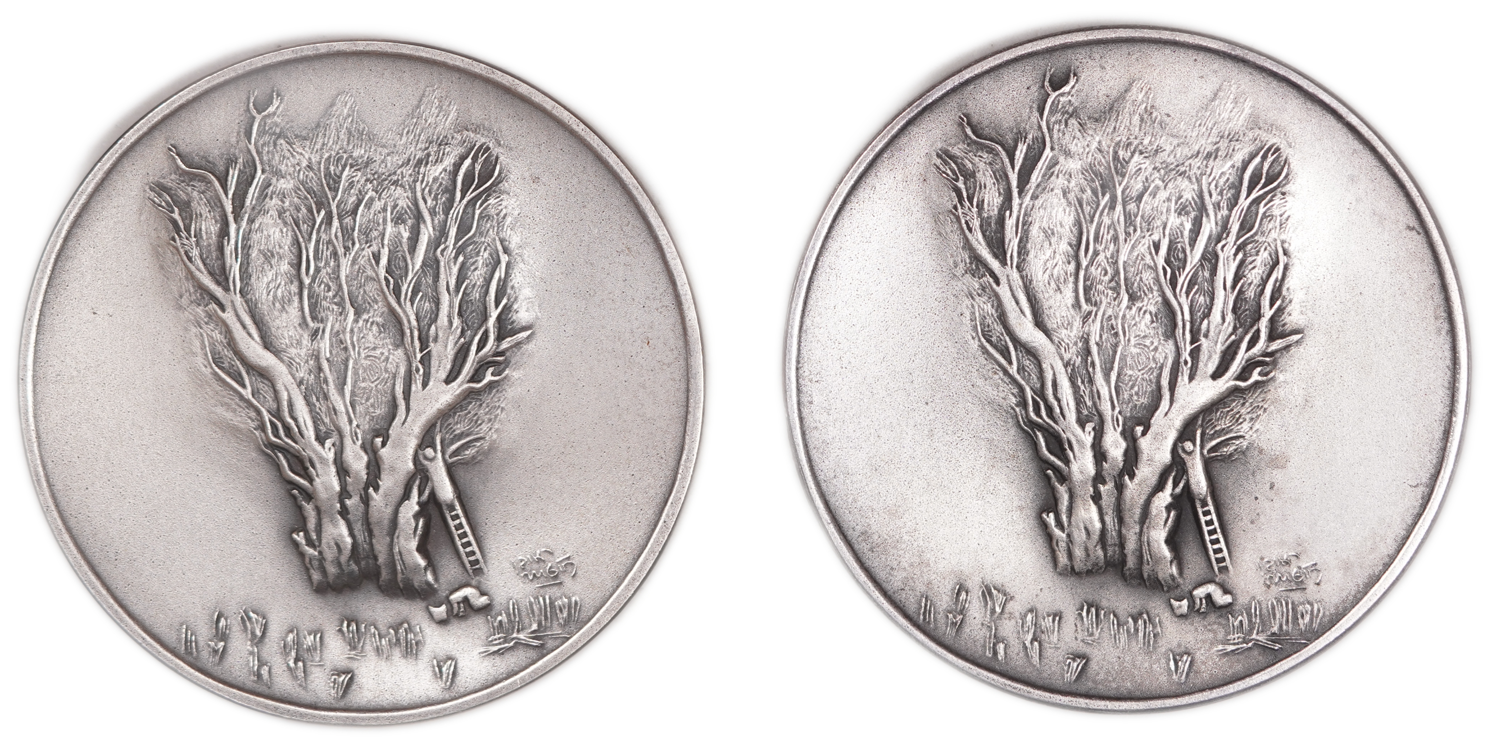 Israel - Pair of “100th Anniversary of Reuven Rubin” Medals - 1993 - Silver 999, 200g (approx. 199.8g pure silver ... - 1 1