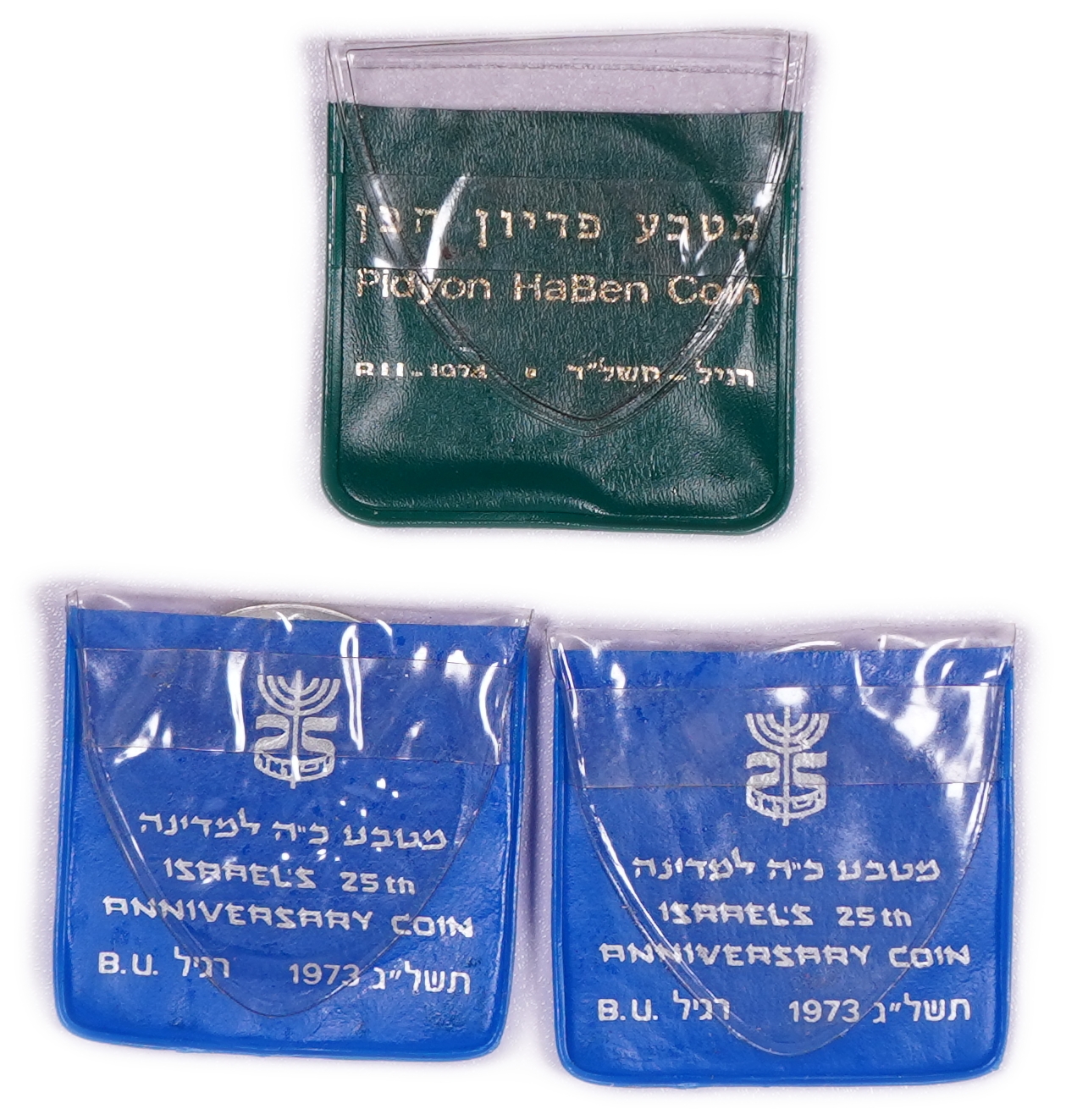 Israel - Group of 10 Government Coins and Medals Corporation Silver Coins - Silver 900, total 260g (234g pure ... - 1 4