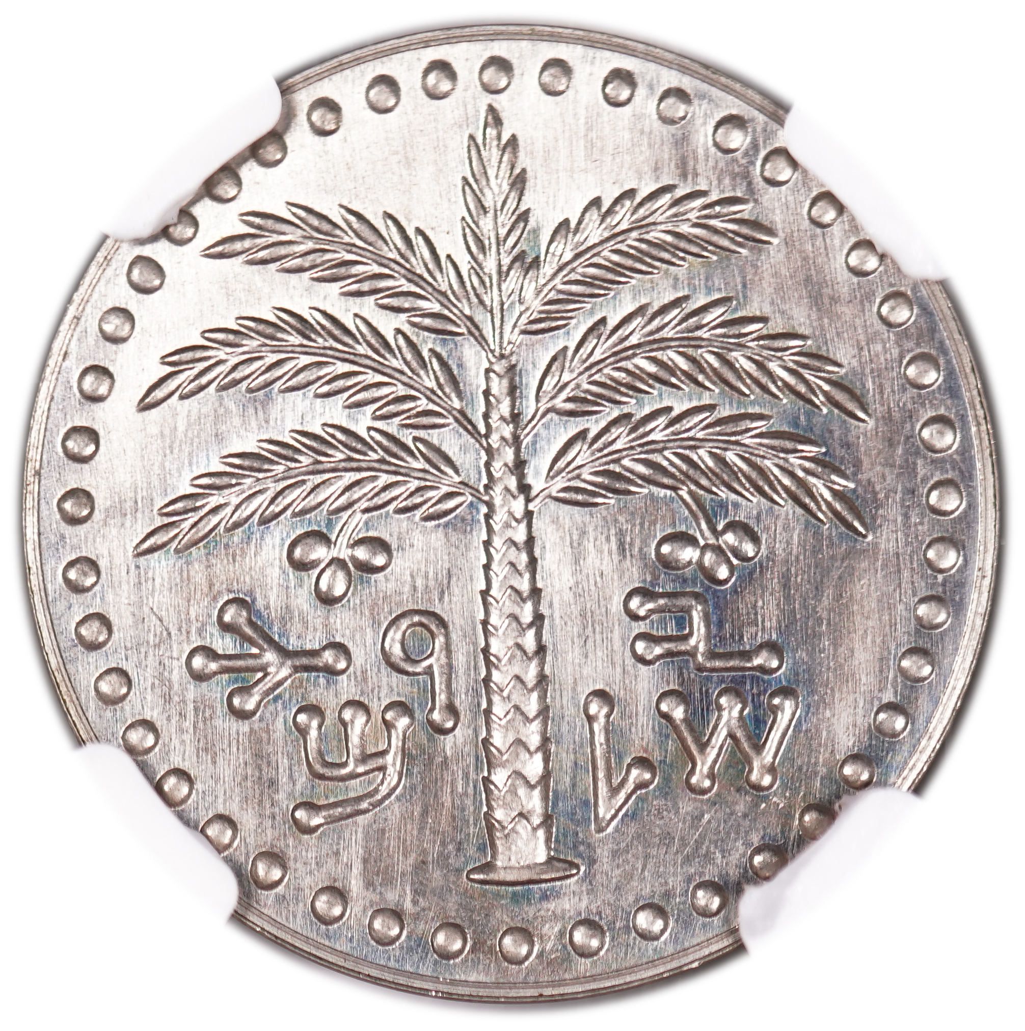 Israel - 100 Prota 1954 - Reissued Israel Mint - NGC MS 66 - Very Rare - 1 1