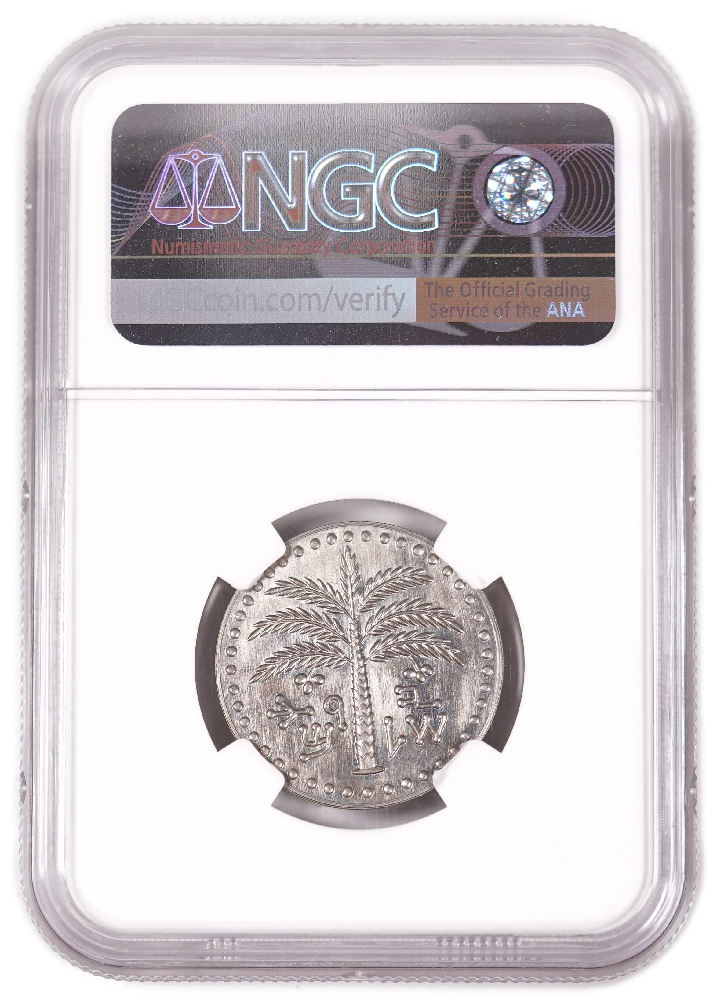 Israel - 100 Prota 1954 - Reissued Israel Mint - NGC MS 66 - Very Rare - 1 3