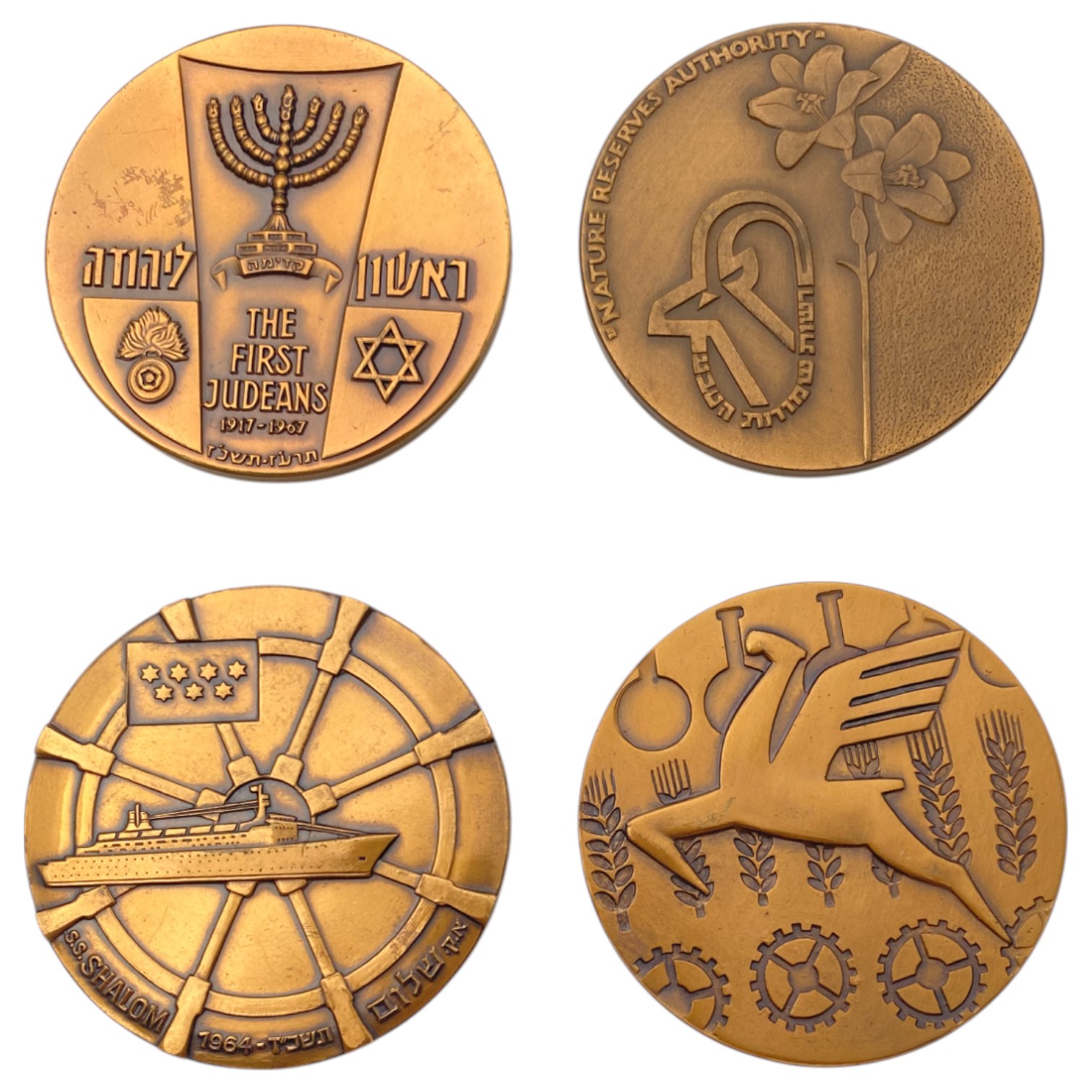 Israel - A very large collection of 25 bronze medals, most of 59 mm from the Government Coin and Medal Company - ... - 1 8