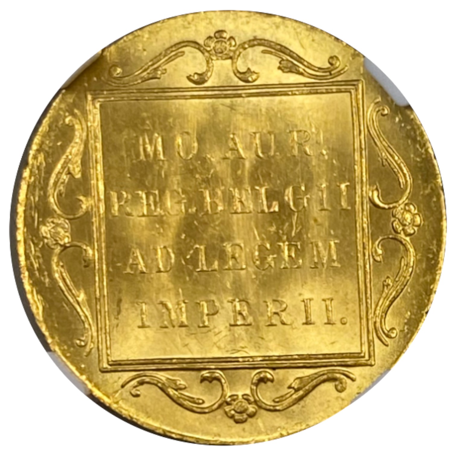 Netherland - Province of Holland - 1 Ducat 1921 - NGC MS 63 - 983 gold, 3.49g, 21mm - 1 1