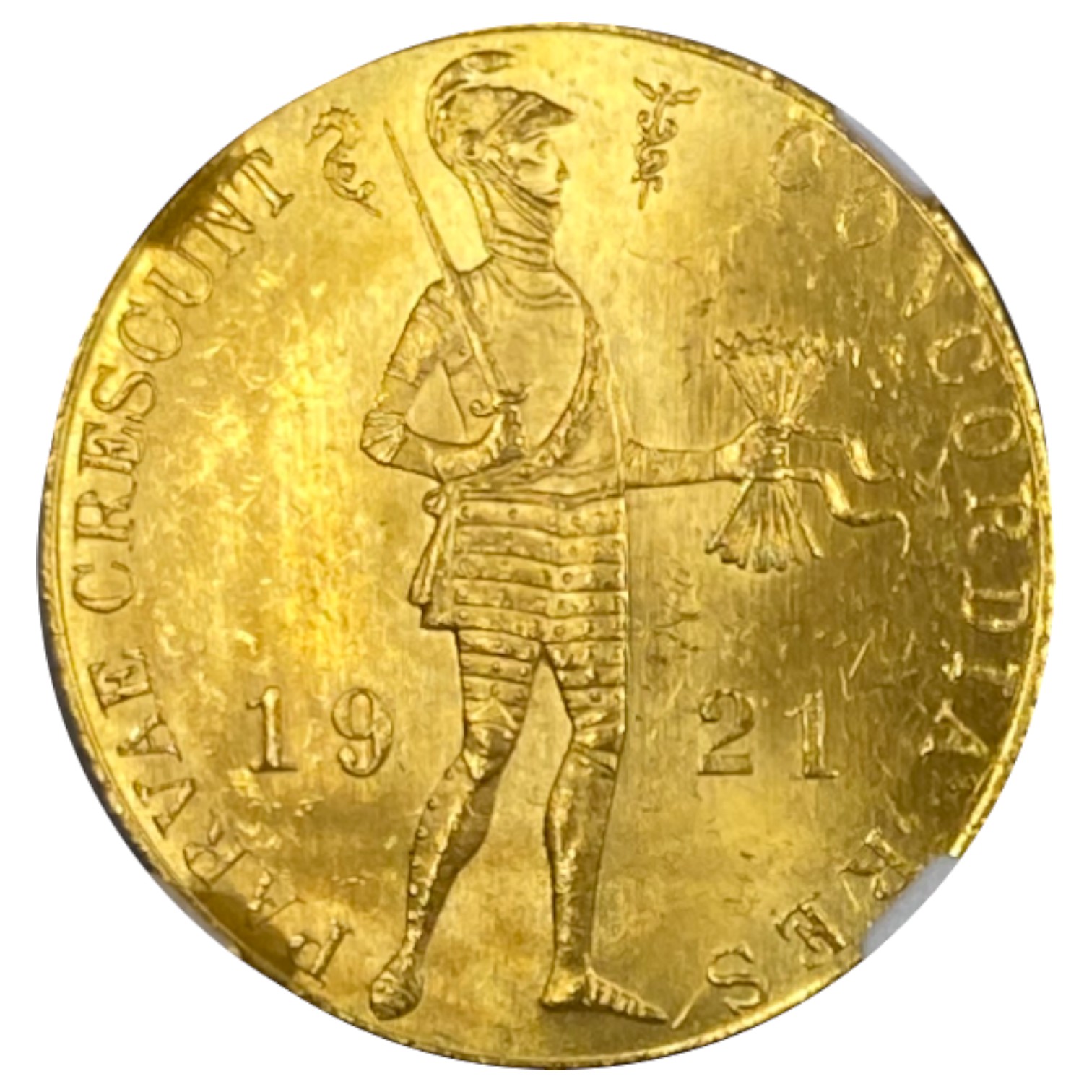 Netherland - Province of Holland - 1 Ducat 1921 - NGC MS 63 - 983 gold, 3.49g, 21mm - 1 0