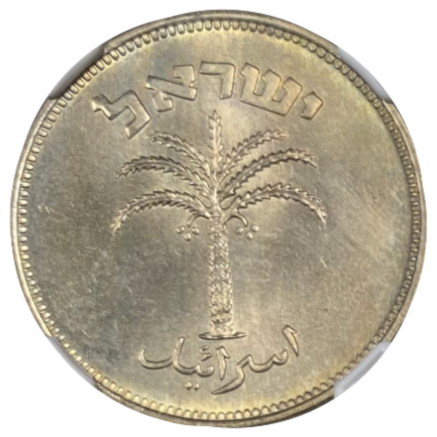 Israel – 100 Pruta 1949 Coin – NGC MS 65 - 1 1