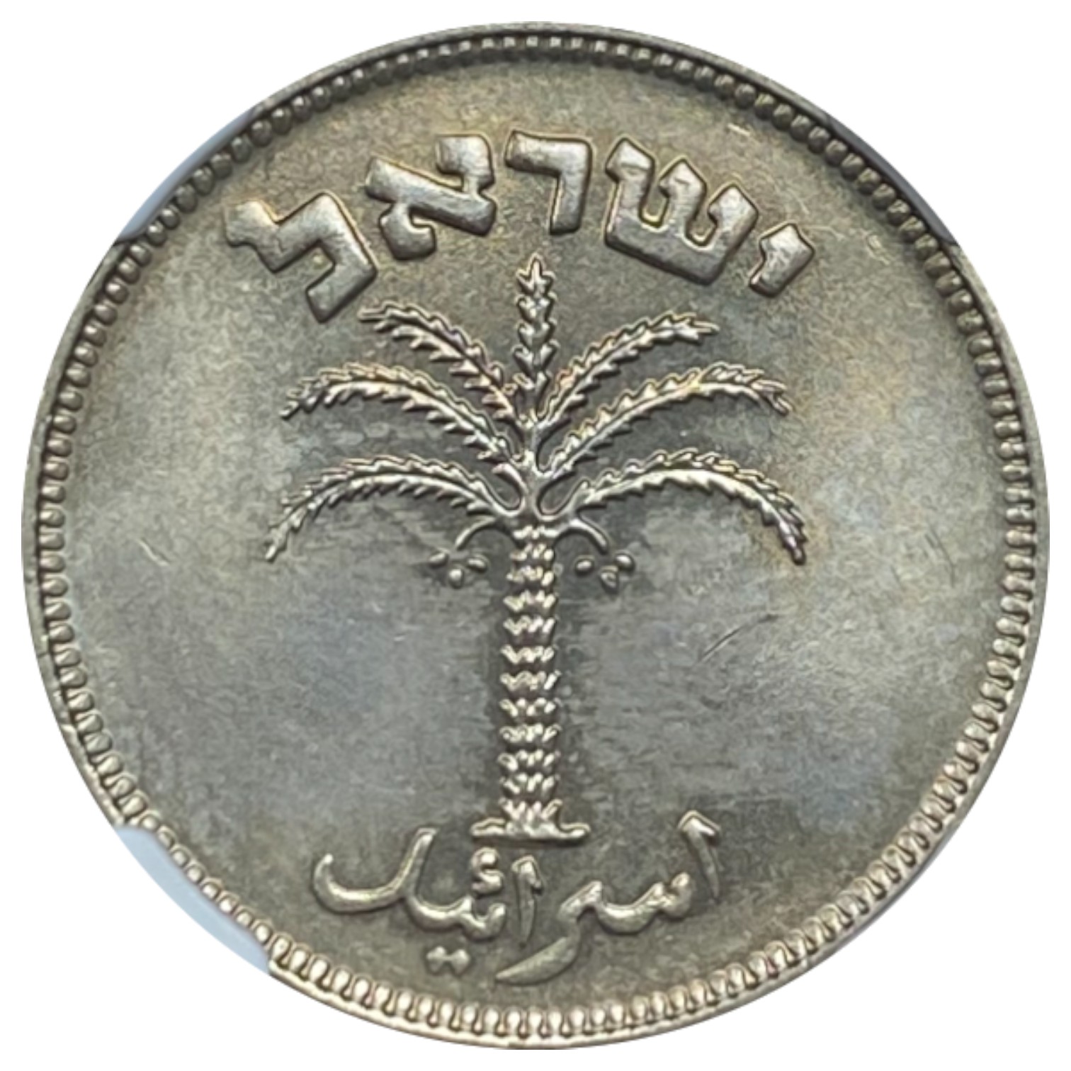 Israel - 100 Pruta 1954 - "Not Magnetic" - NGC MS 64 - Rare - 1 1