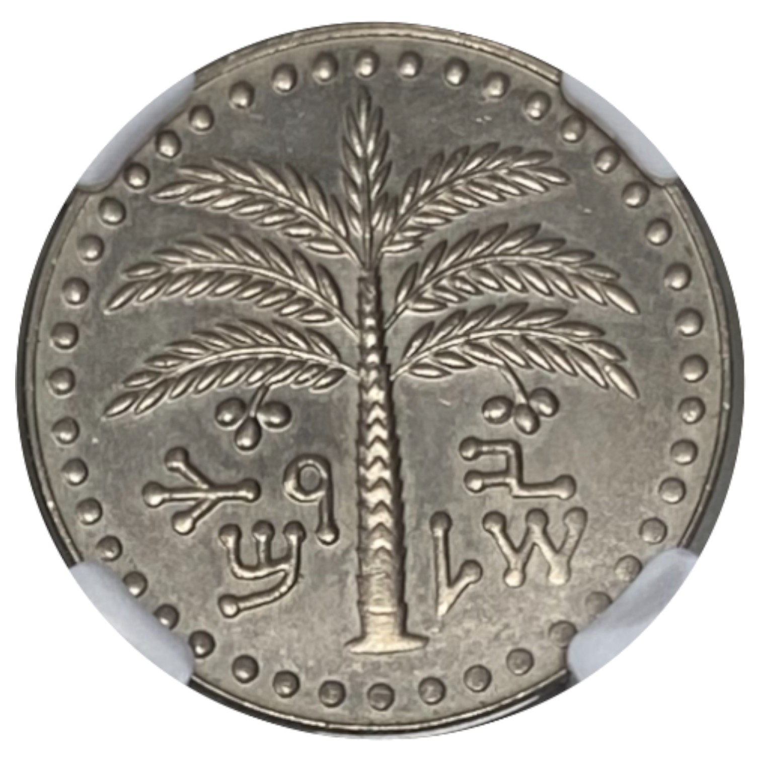 Israel - 100 Prota 1954 - Reissued Israel Mint - NGC MS 66 - Very Rare - 1 1