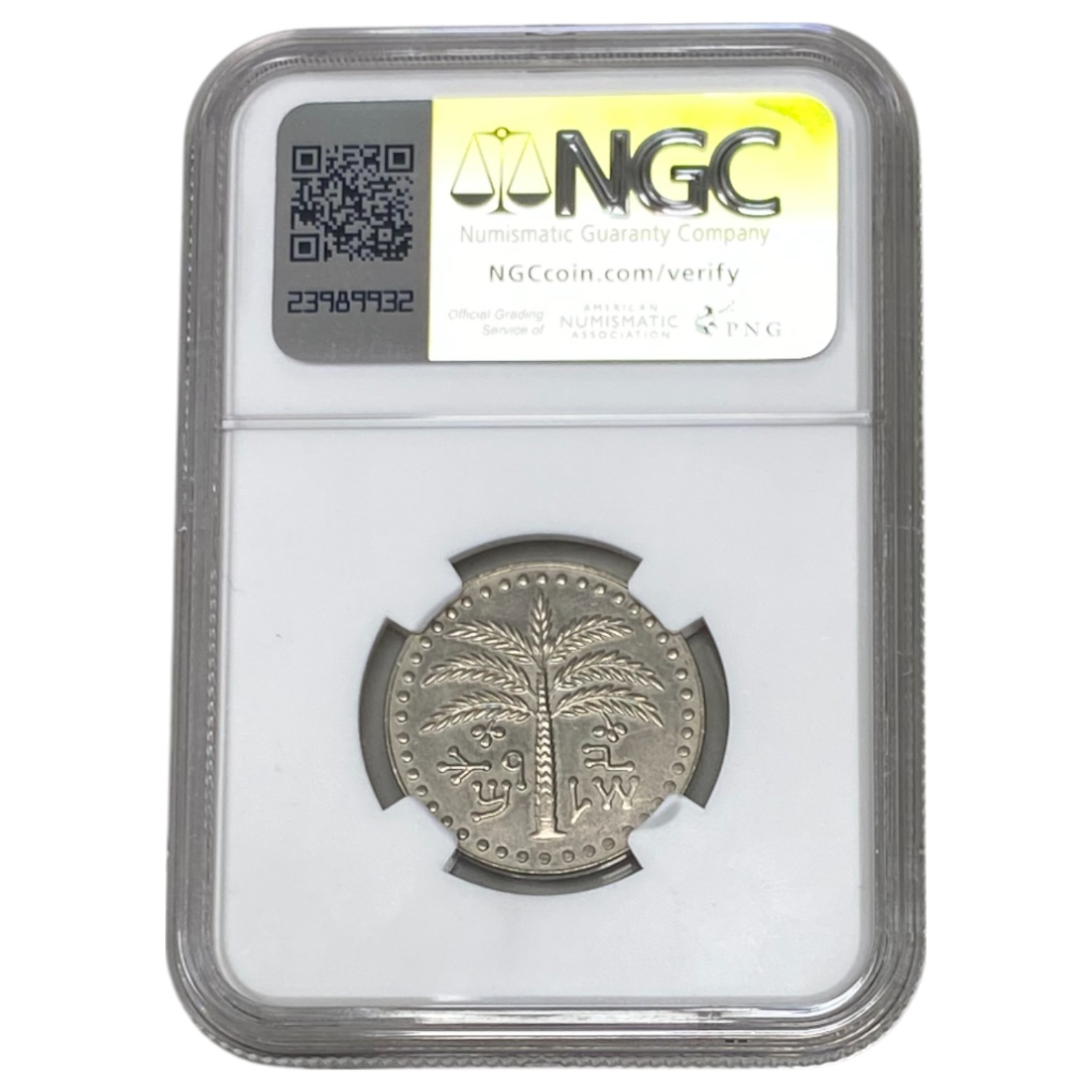 Israel - 100 Prota 1954 - Reissued Israel Mint - NGC MS 66 - Very Rare - 1 3