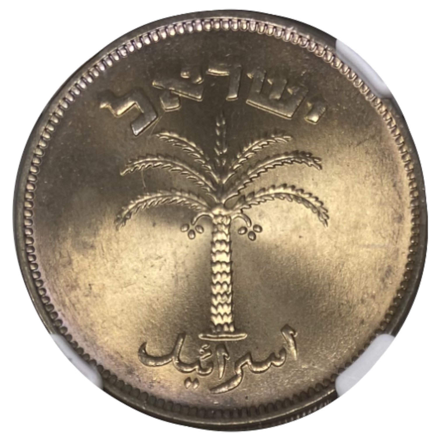 Israel - 100 Pruta 1955 - NGC MS 65 - Beautiful Patina - 1 1