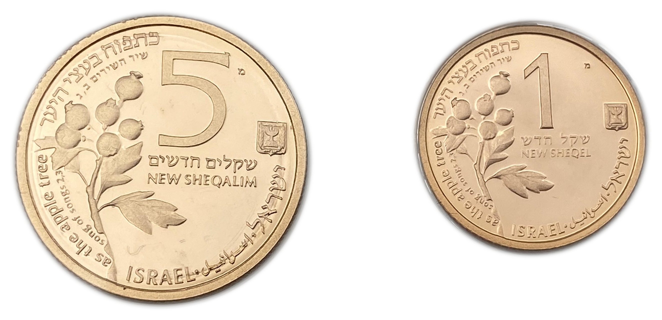 Israel - Large and complete collection without defects of 18 1, 5 shekel gold coins "Animals and Plants in the Song ... - 1 4