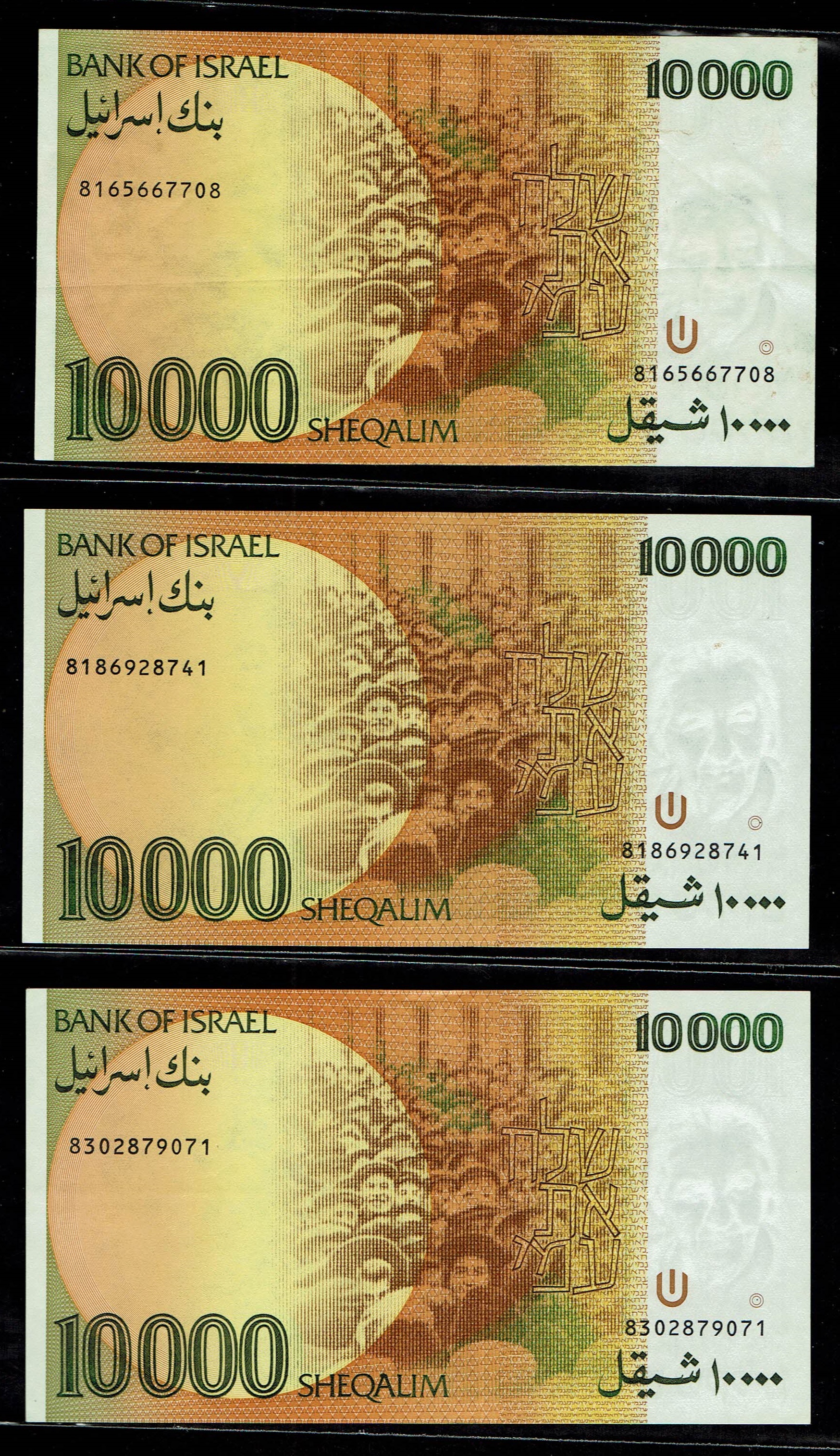 Israel - Large lot of Banknotes of 1, 5 10, 50, 100, 500, 1,000, 5,000, 10,000 shekels 1978, 1982, 1983, 1984 - ... - 1 14