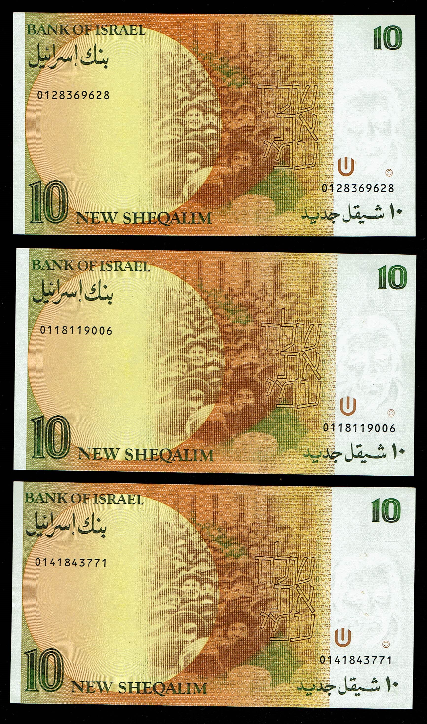 Israel - Set of 50 banknotes from the new shekel series, 1, 5, 10, 20, 50, 100 shekels 1986, 1987, 1991, 1992, 1993 ... - 1 16