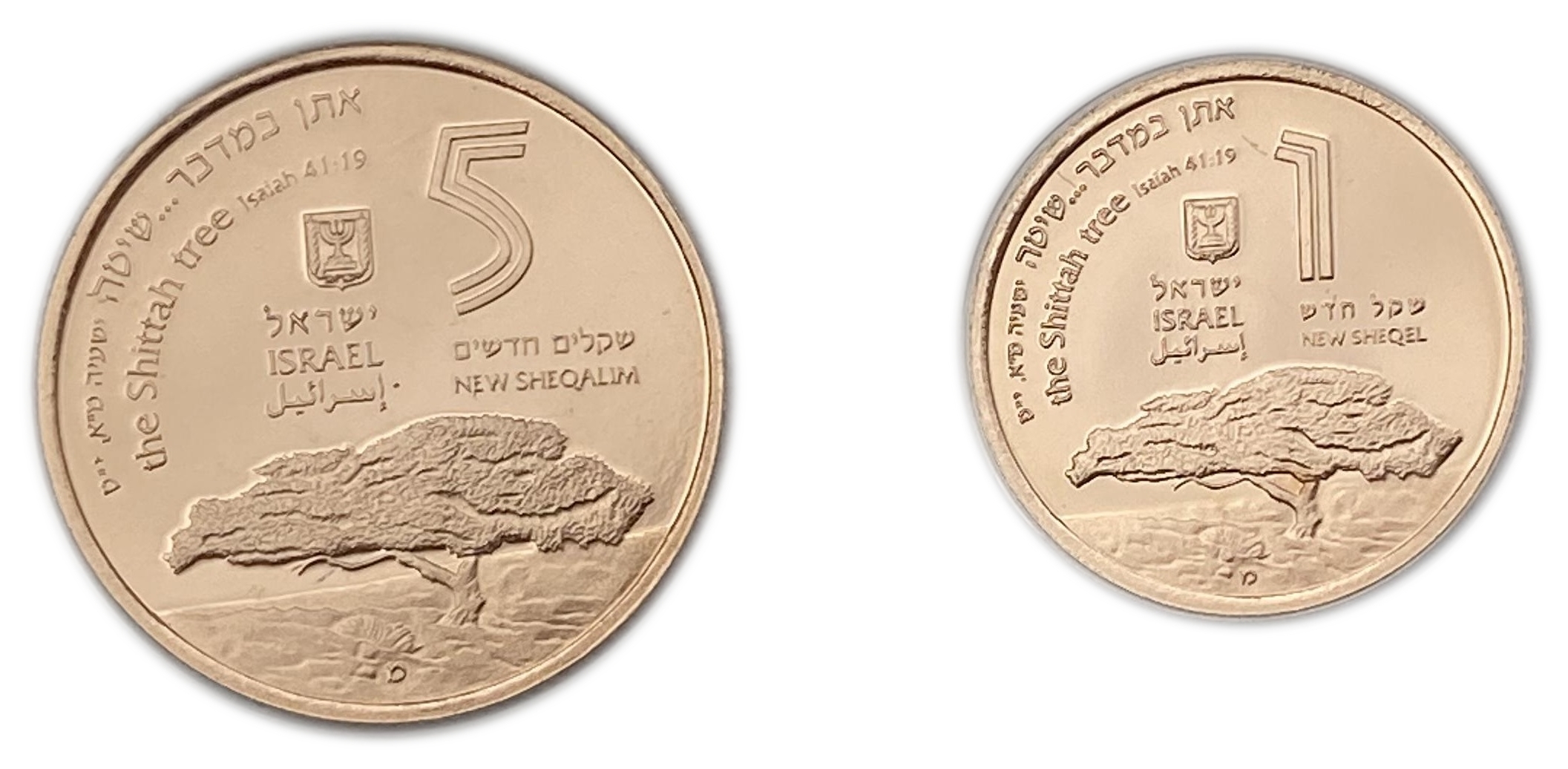 Israel - Large and complete collection without defects of 18 1, 5 shekel gold coins "Animals and Plants in the Song ... - 1 12