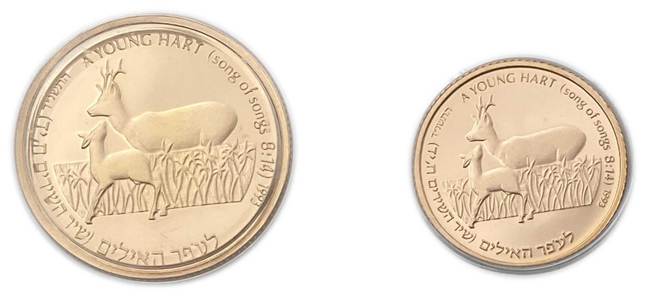 Israel - Large and complete collection without defects of 18 1, 5 shekel gold coins "Animals and Plants in the Song ... - 1 13