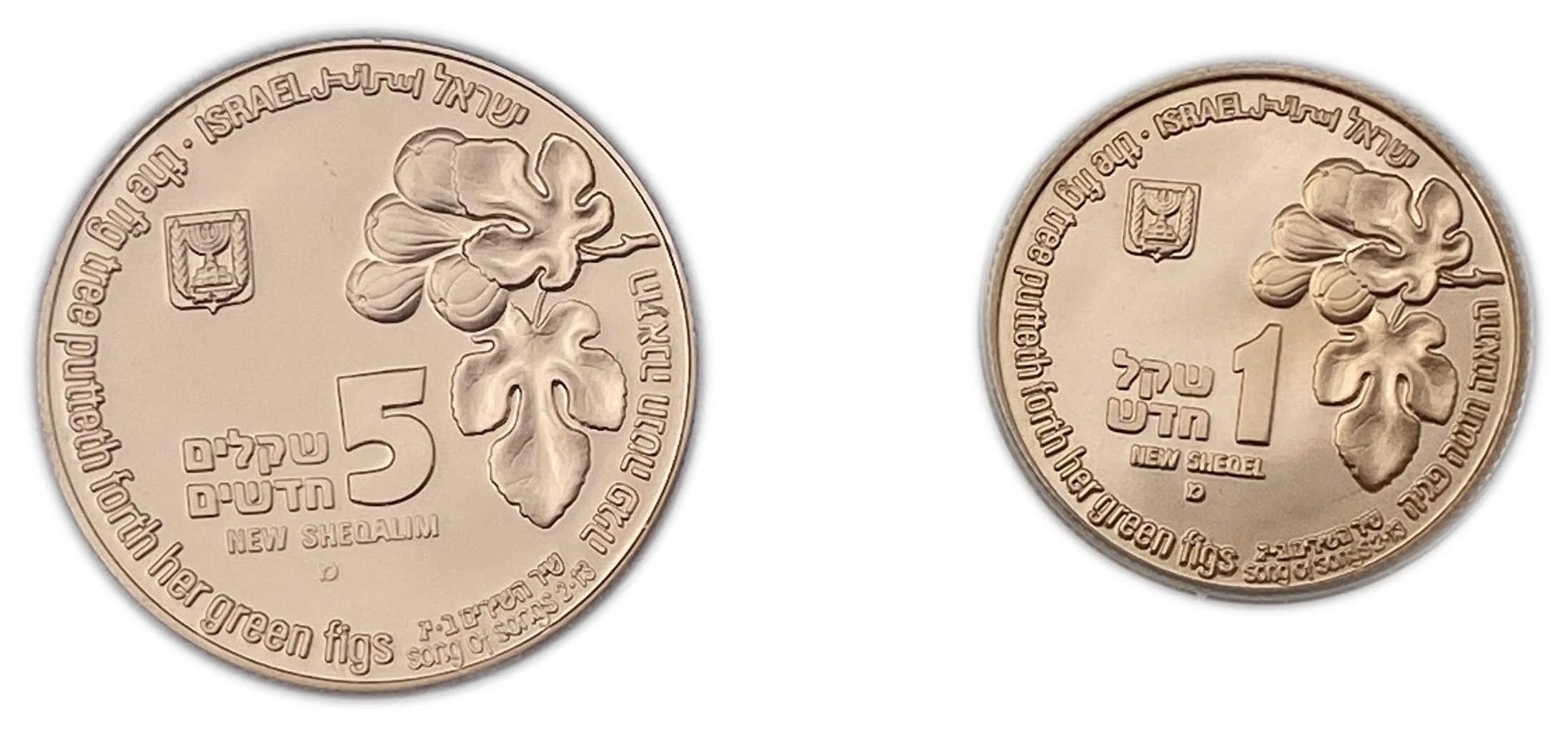 Israel - Large and complete collection without defects of 18 1, 5 shekel gold coins "Animals and Plants in the Song ... - 1 8