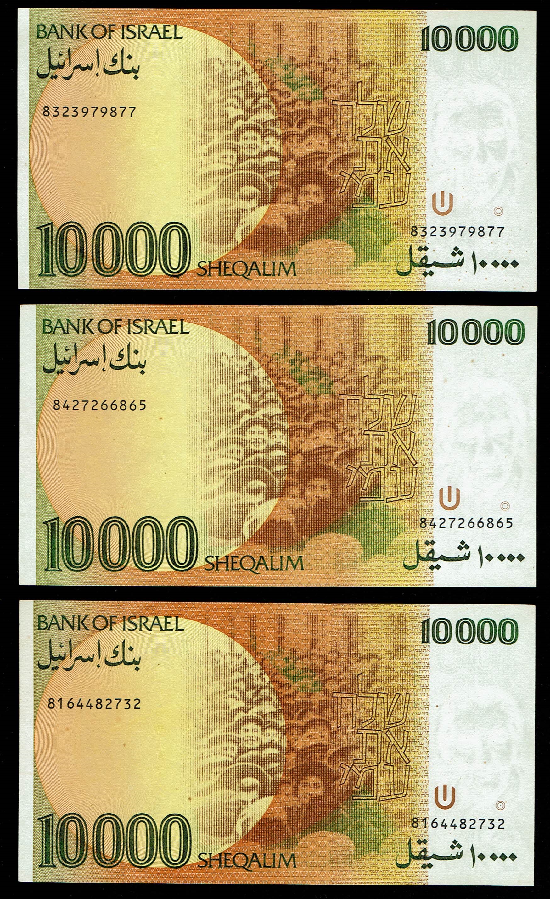 Israel - group of 5 banknotes, 50 shekels 1978, 10,000 shekels 1984, 100 shekels 1986 - UNC - 1 4