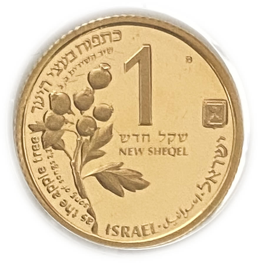 Israel - Ofer and the apple 1 shekel - gold 900, 3.46 g, 18 mm
Only 10% fees + VAT on this ... - 1 0