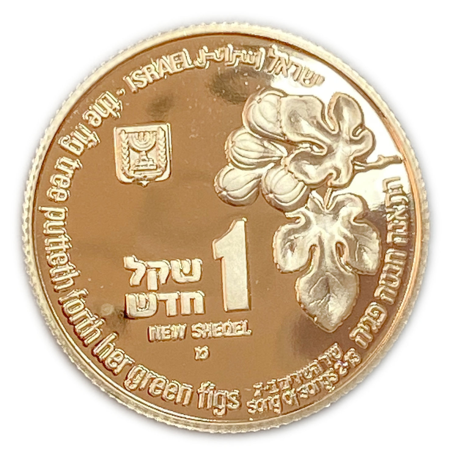 Israel - Nightingale and Fig Coin NIS 1 - Gold 900, 3.46 g, 18 mm
Nightingale and Fig Coin 1996/5757 ... - 1 0