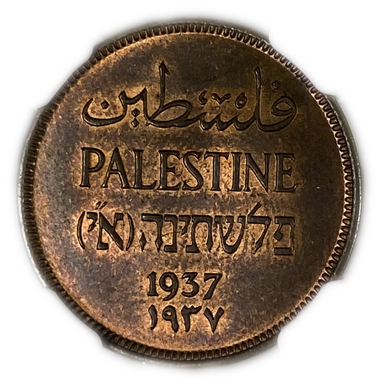 Palestine - 1 Mil 1937 - NGC 63 BN - UNC
Mil, was the Hebrew name of the coin that was legal in ... - 1 0