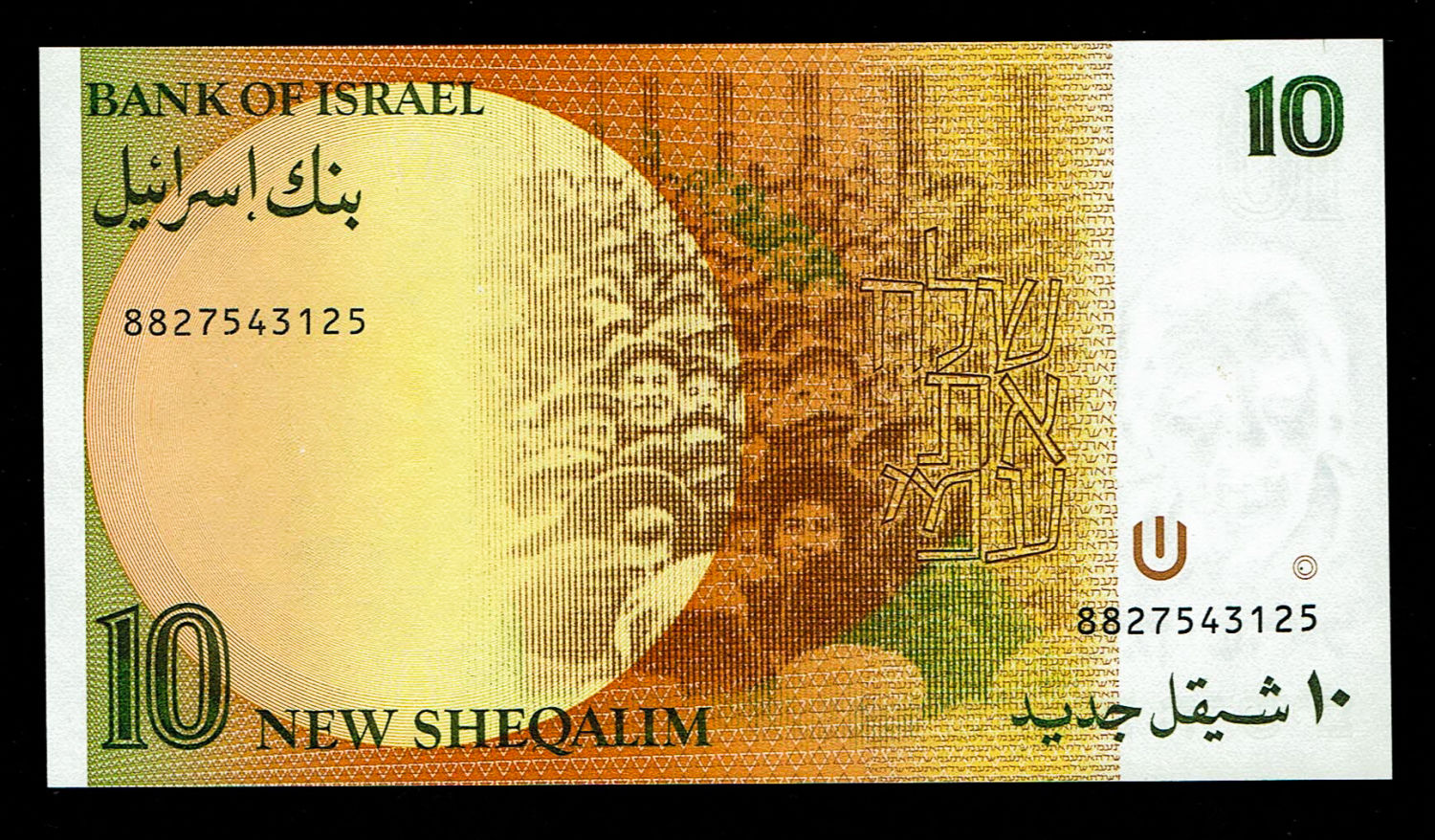 Israel - 10 New Shekel 1985 - UNC
In 1985, following high inflation, it was decided to replace the ... - 1 1