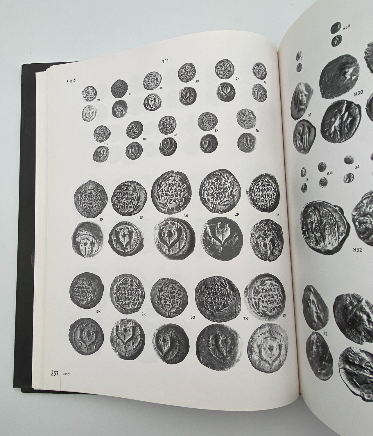 Numismatics Literature - The Treasure of Jewish Coins from the Time of Persia to the Bar Kochba Revolt - ... - 1 9