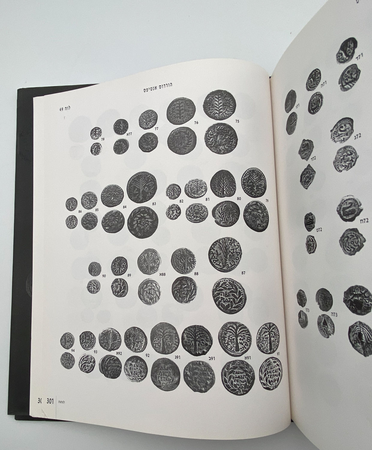 Numismatics Literature - The Treasure of Jewish Coins from the Time of Persia to the Bar Kochba Revolt - ... - 1 10