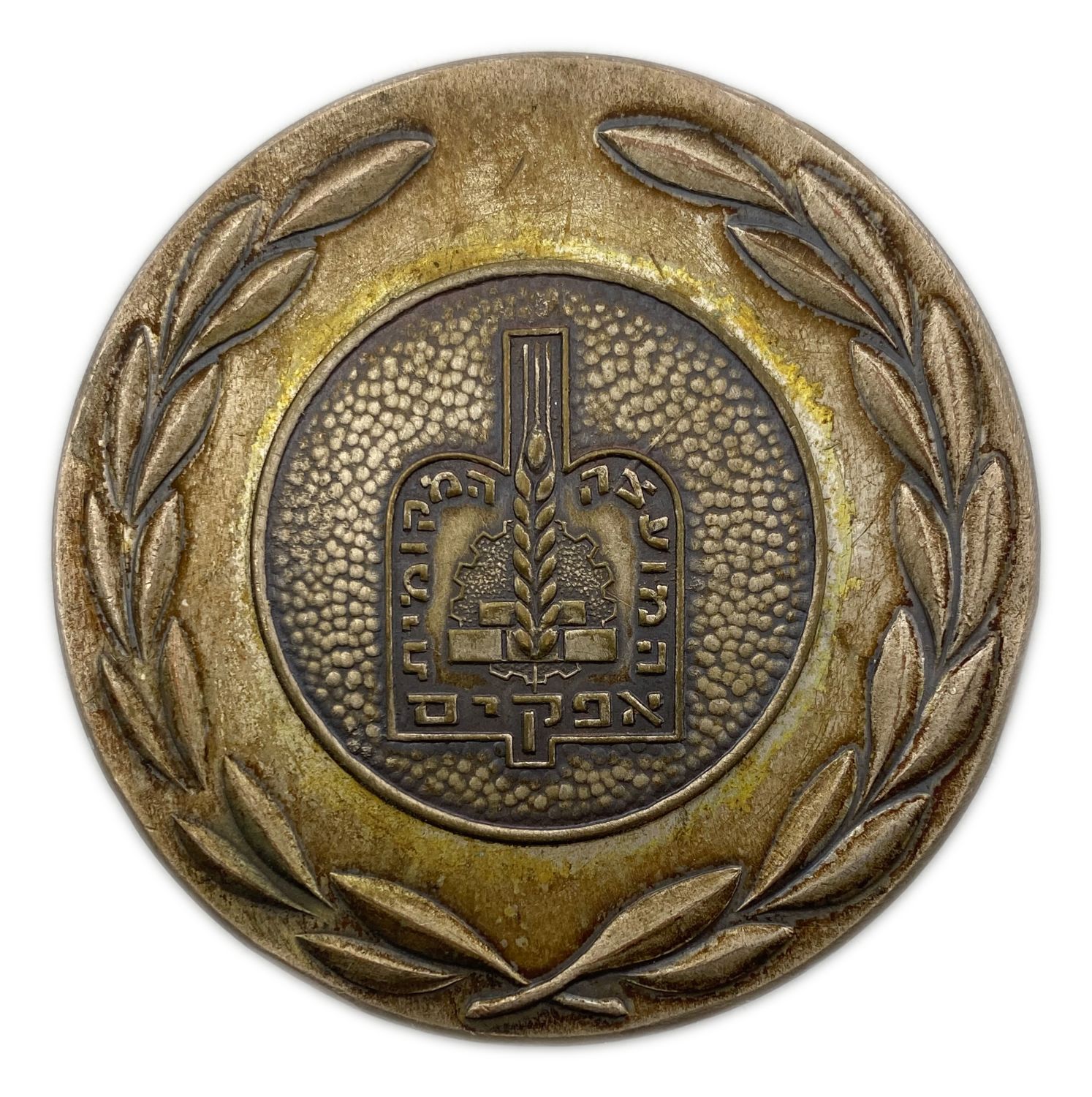 Israel - Medal to mark the 40th anniversary of the State of Israel, Afikim National Council - 1988