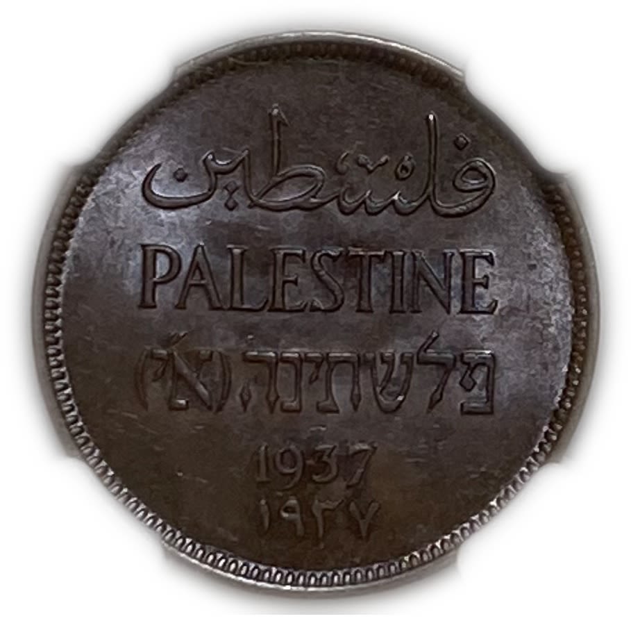Palestine - 1 Mil 1937 - NGC 64 BN - UNC
Beautiful coin with blue-purple patina
Mil ... - 1 0