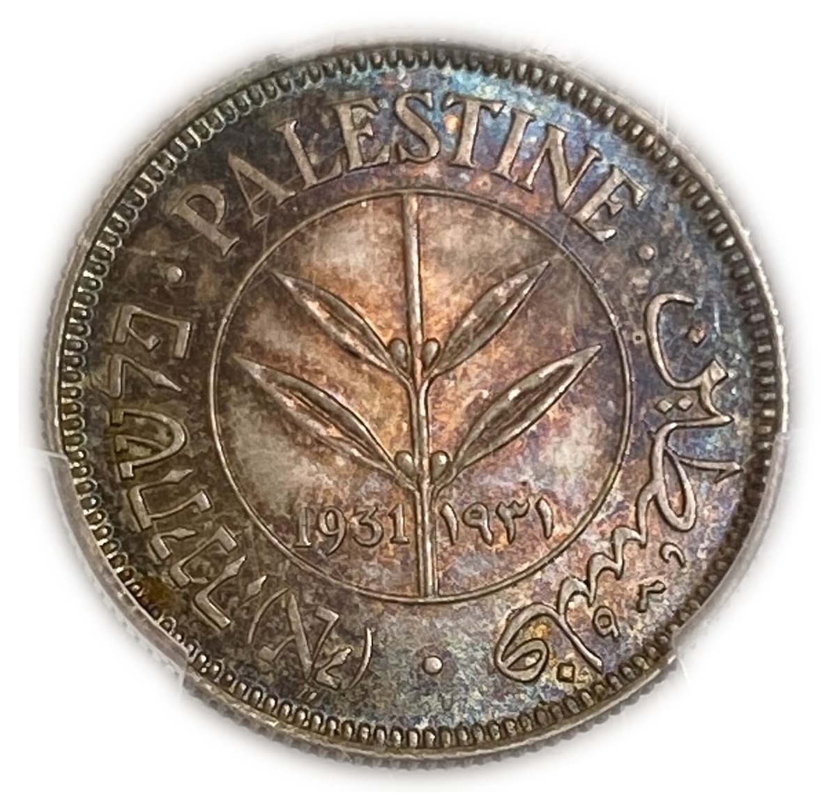 Palestine - 50 Mils 1931 - PCGS MS64 - Only one coin from this year in the world is graded above this grad - ... - 1 2