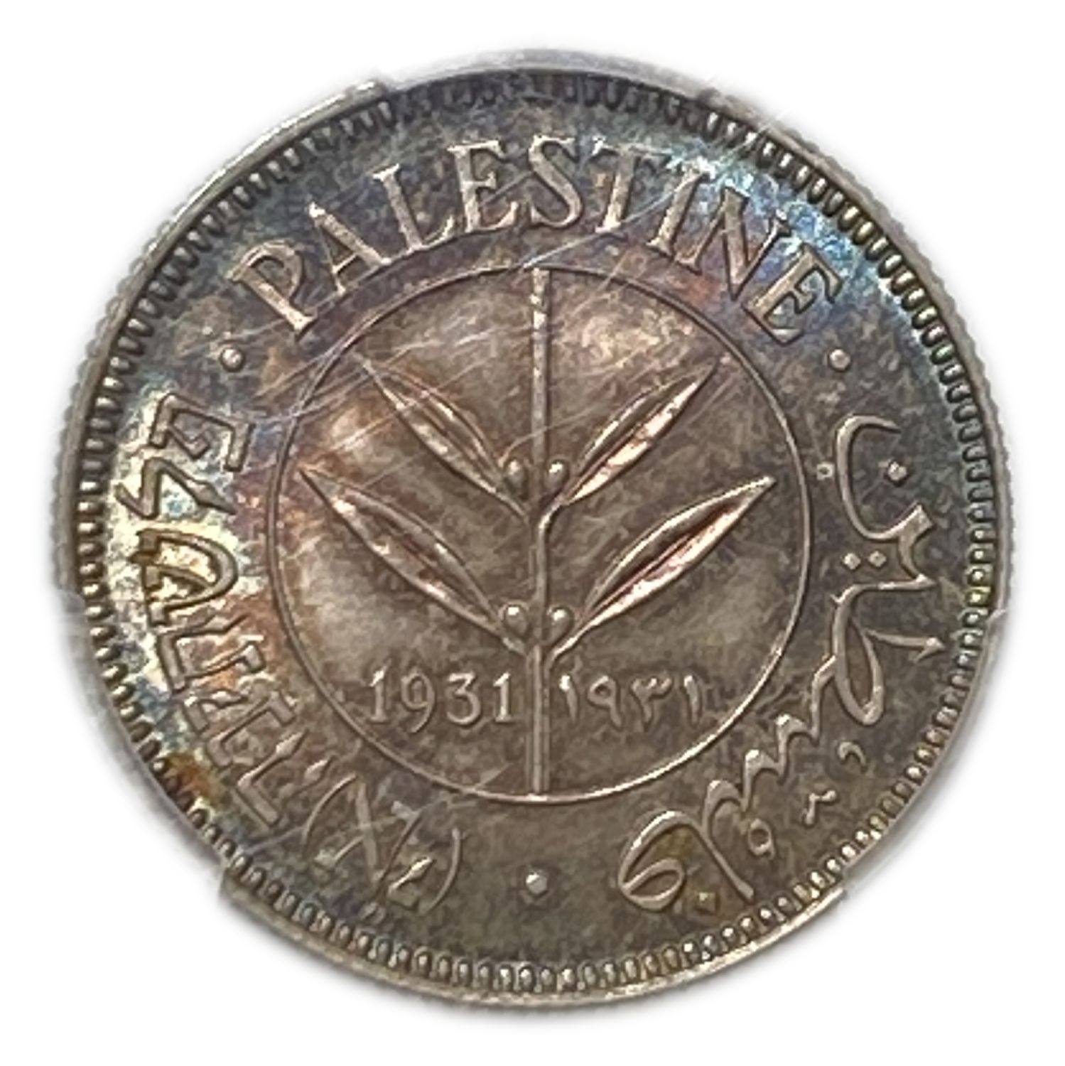 Palestine - 50 Mils 1931 - PCGS MS64 - Only one coin from this year in the world is graded above this grad - ... - 1 0