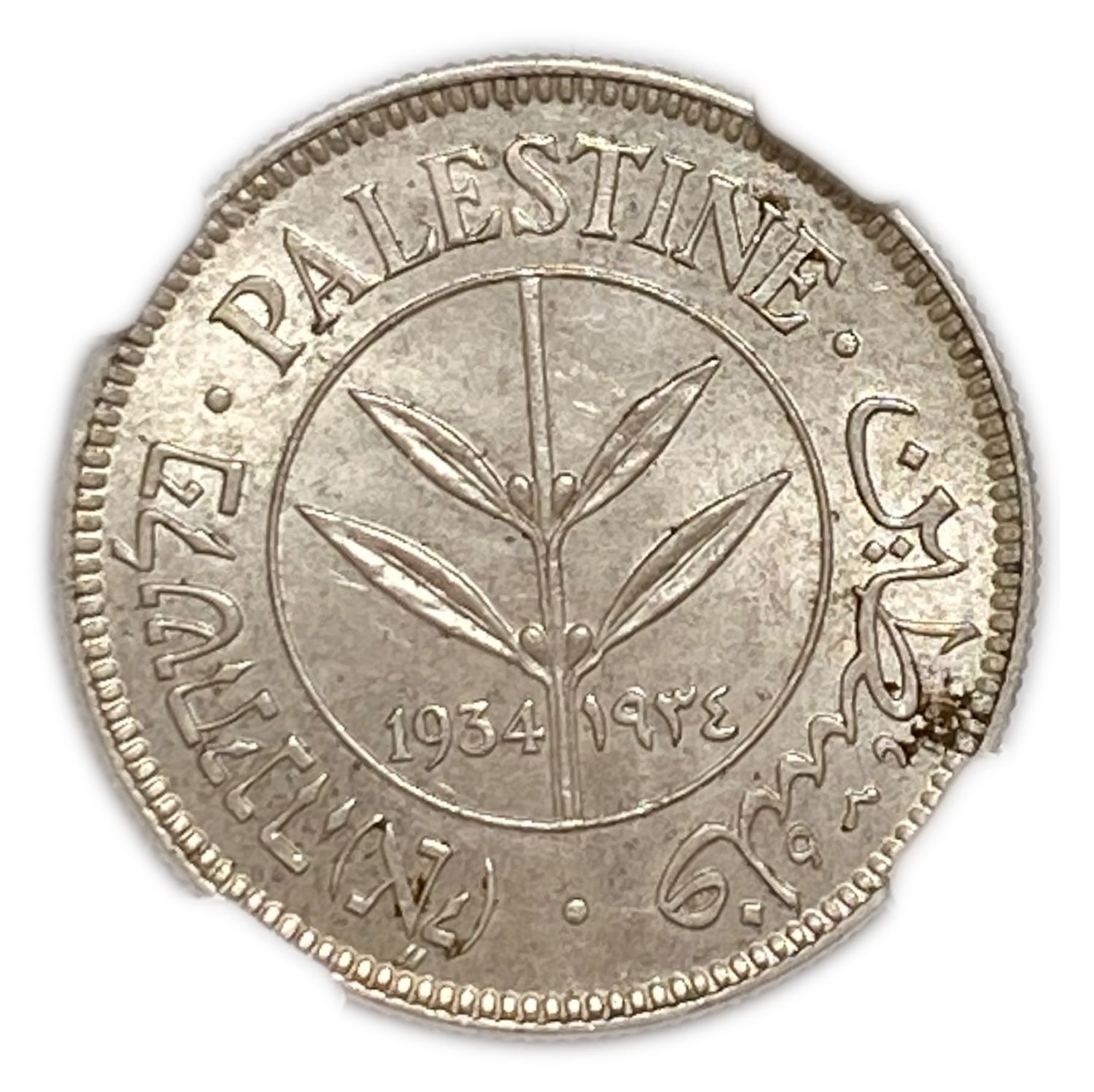 Palestine - 50 Mils 1934 - NGC MS62
The lowest issue of the 50-mils. Rare.
Mil ... - 1 0