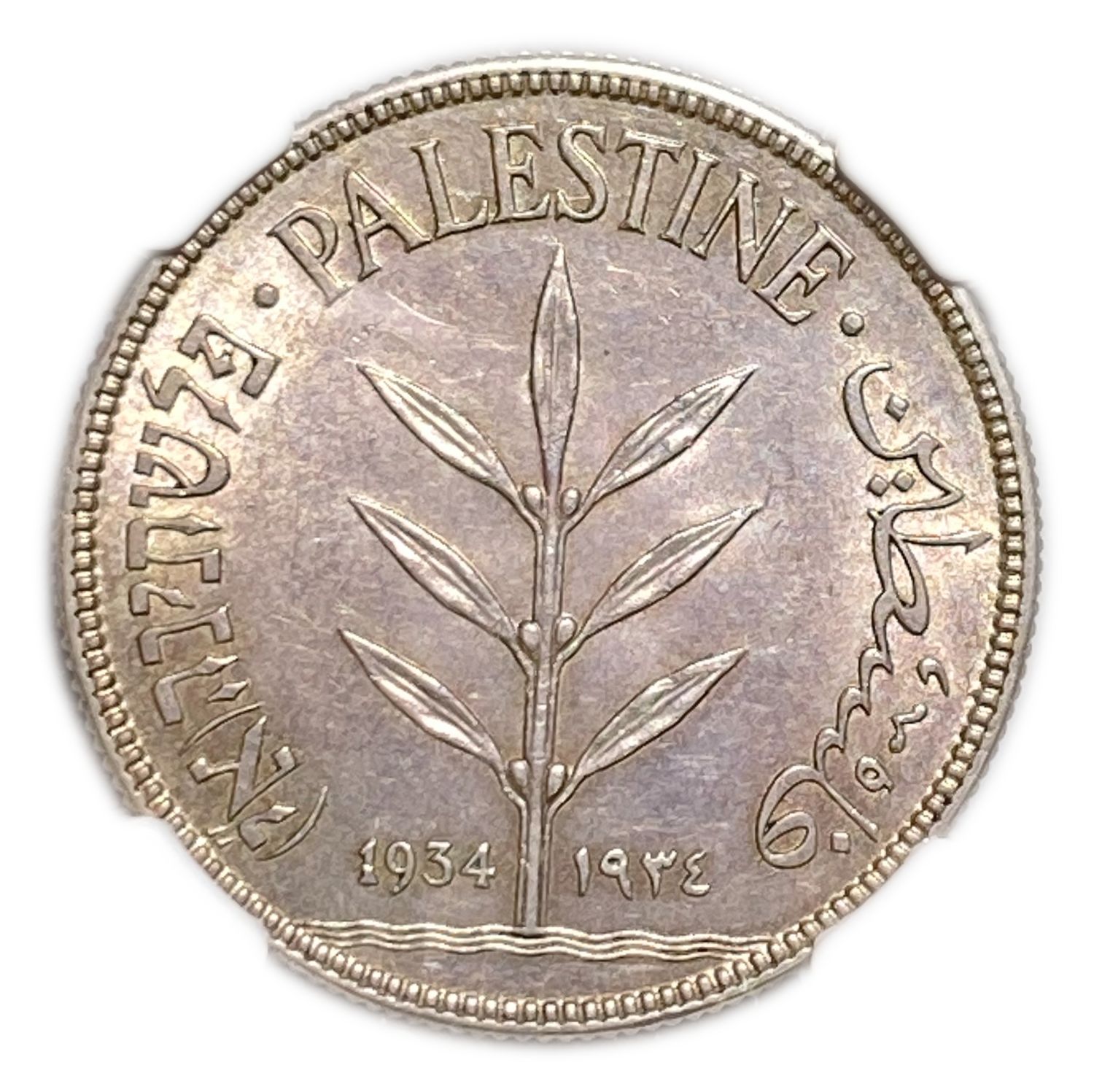 Palestine - 100 Mils 1934 - NGC MS63 - High grade, only one grade known in this grade company above this ... - 1 0
