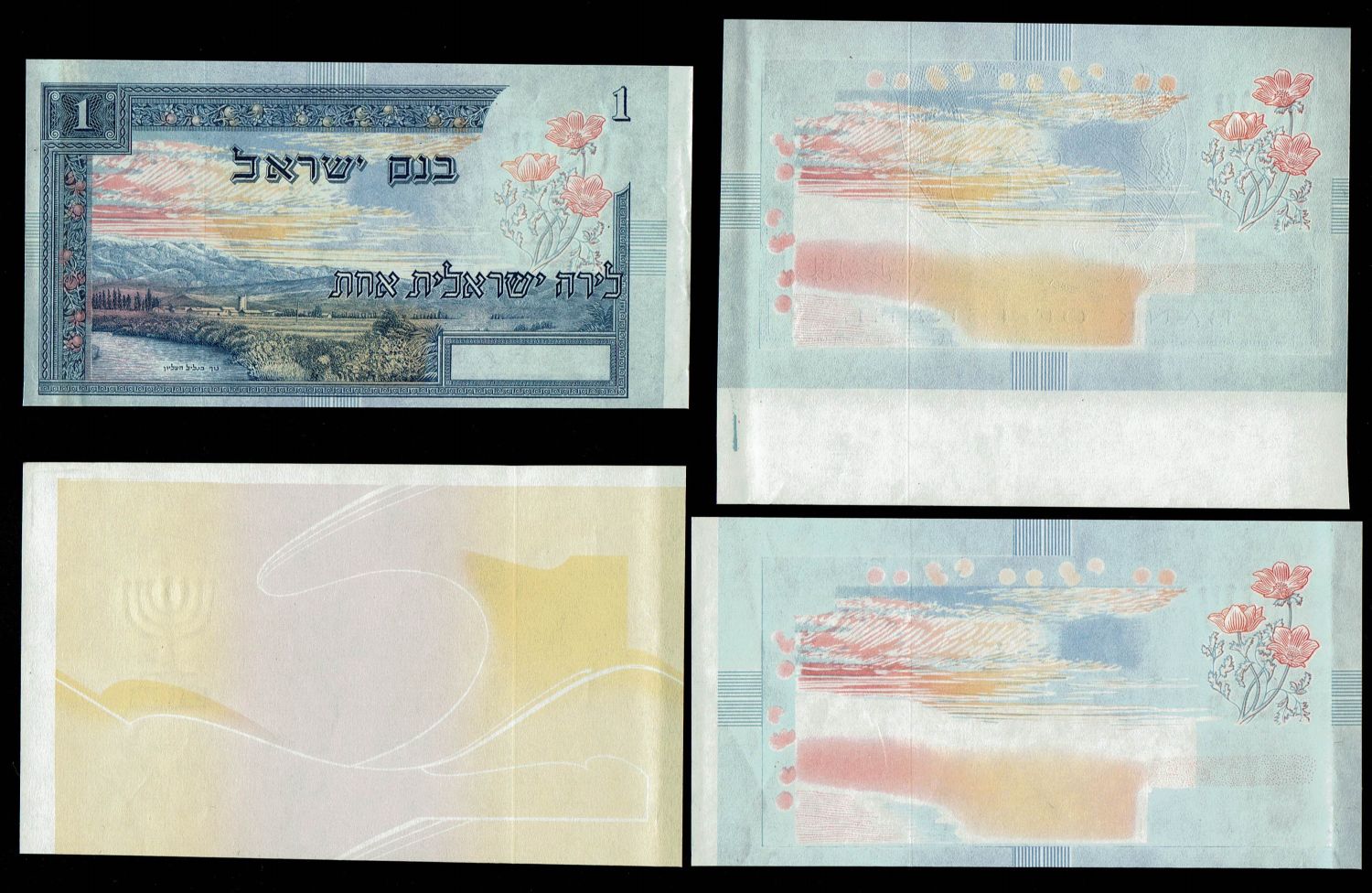 Israel - 1 Lira 1955 - Example of 4 Different Progressive proof - UNC - 1 0