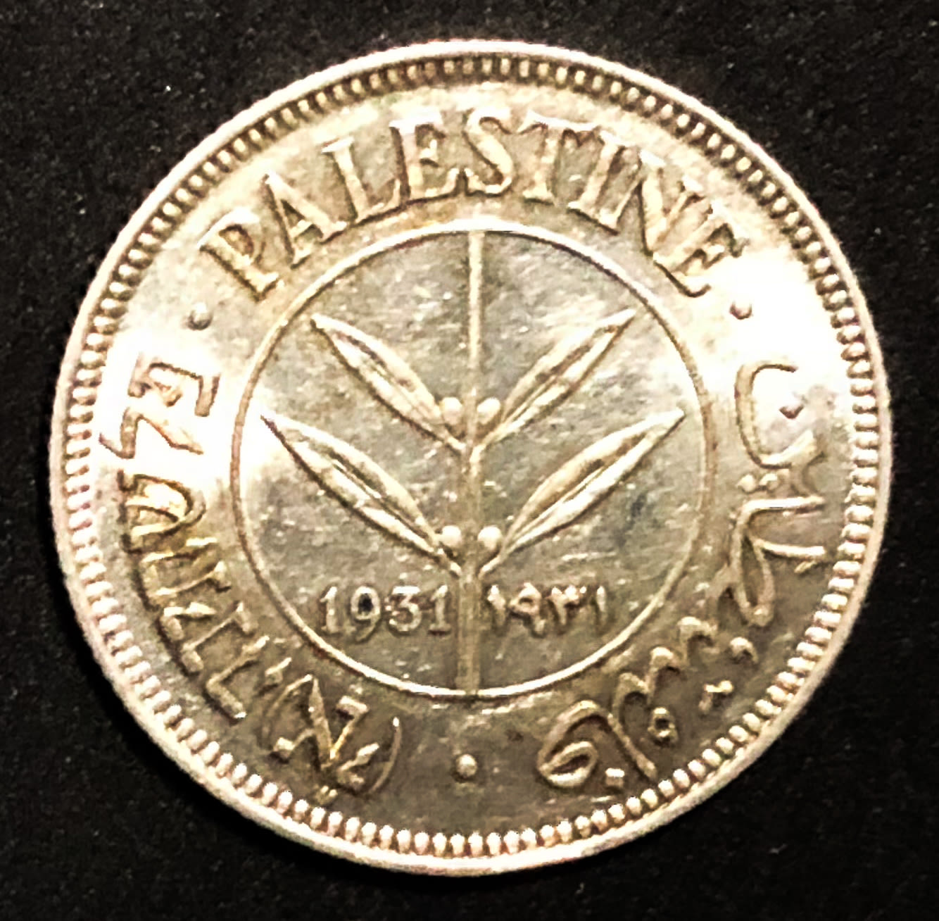 Palestine - 50 mil 1931.