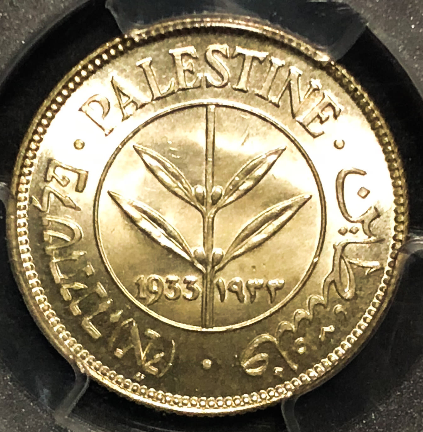 Palestine - 50 mil 1933 - MS64. - 1 0