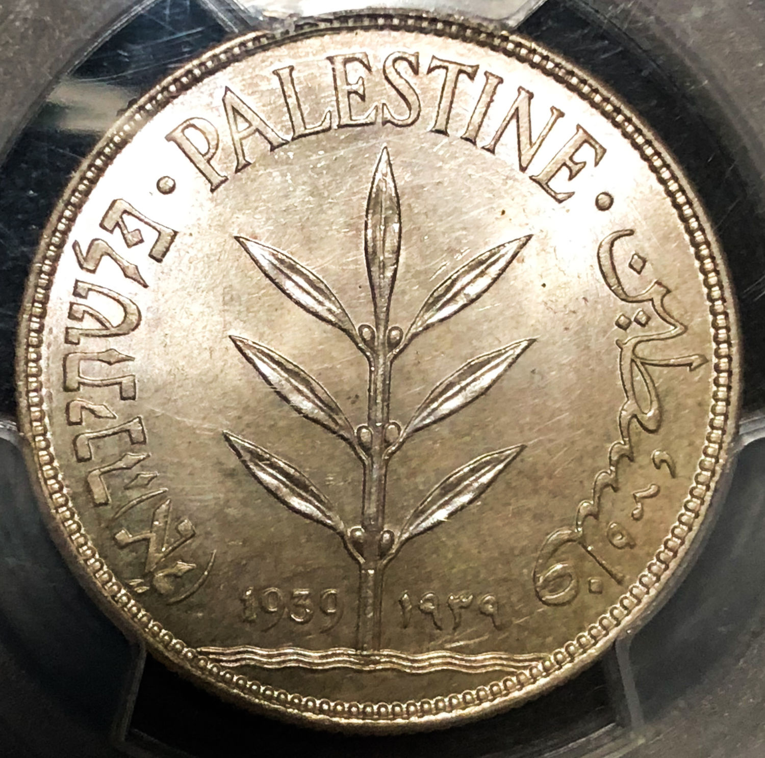 Palestine - 100 mil 1939 - MS63. - 1 0
