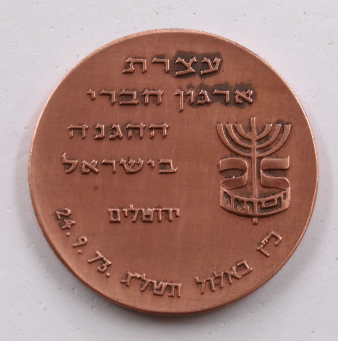 Israel - Bronze Medal, Assembly of the Israel Defense Forces Association, "From Defense to the Israel Defense ... - 1 0