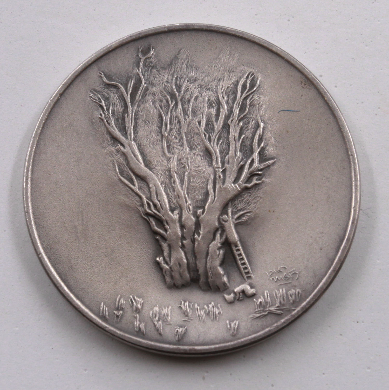 Israel - 100 Years since the Birth of Reuven Rubin 1993 - Silver 999, 100g, 60 m"m - 1 1