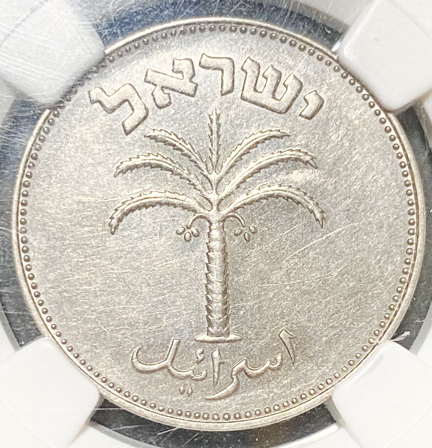 Israel - 100 Pruta 1954 - Utrecht die - 1 1