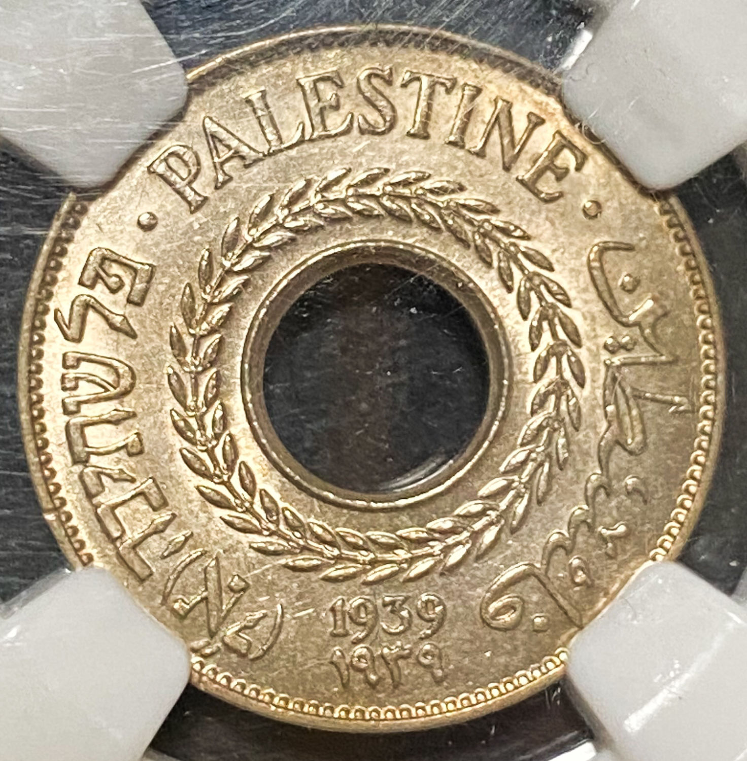 Palestine - Lot of 6 graded MS coins of 5 Mils - Diffrent years - 1 9