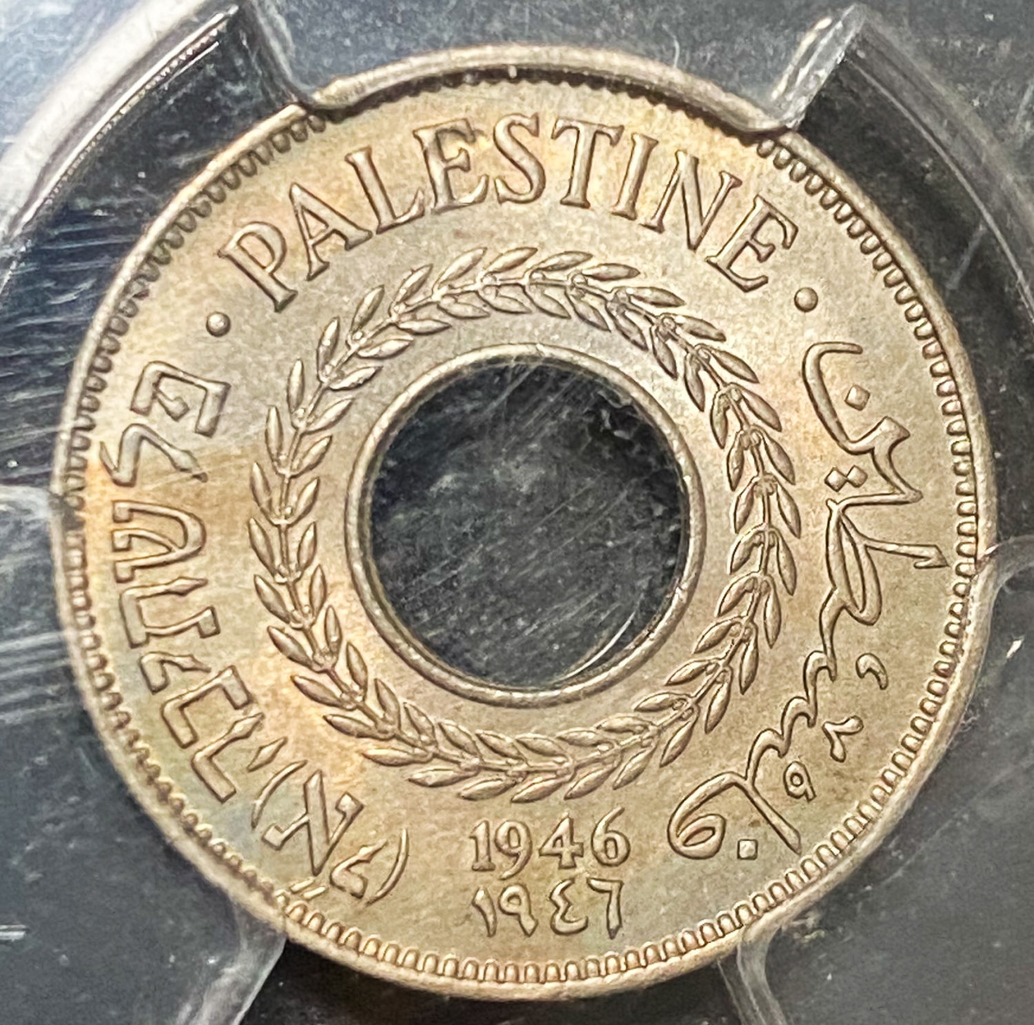 Palestine - Lot of 6 graded MS coins of 5 Mils - Diffrent years - 1 3