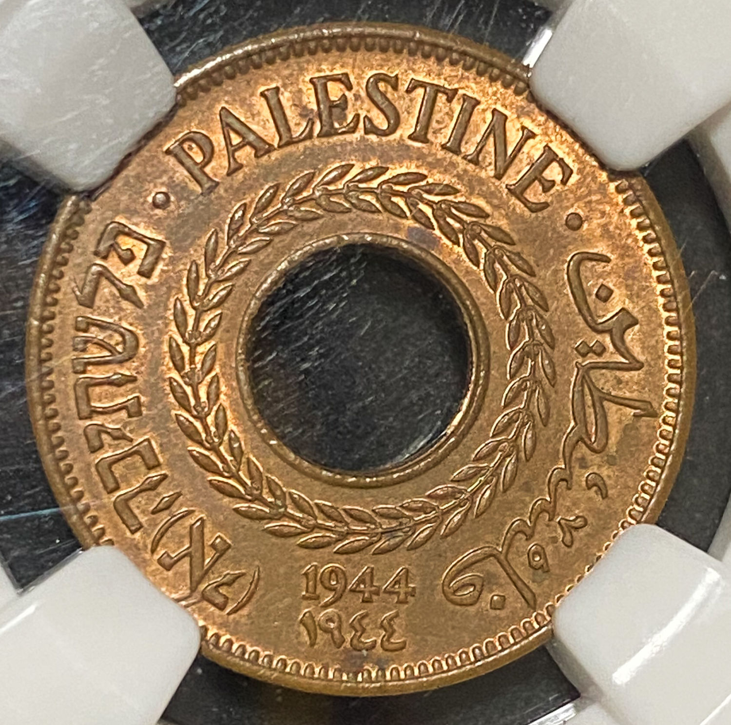 Palestine - Lot of 6 graded MS coins of 5 Mils - Diffrent years - 1 1