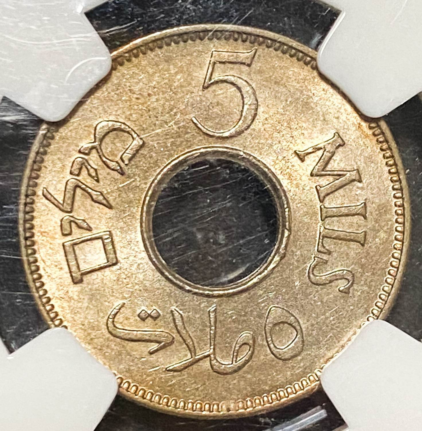 Palestine - Lot of 6 graded MS coins of 5 Mils - Diffrent years - 1 10