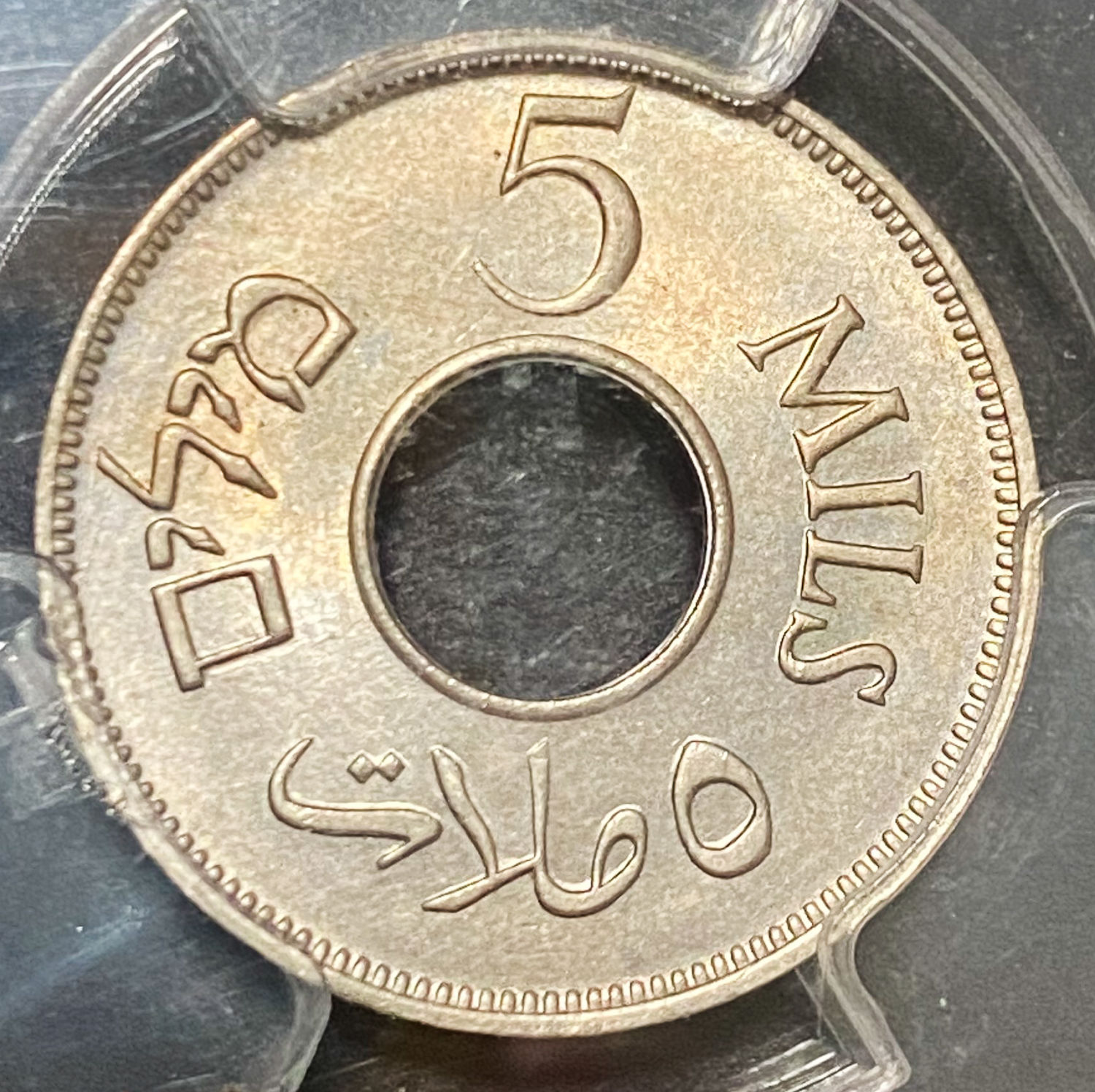 Palestine - Lot of 6 graded MS coins of 5 Mils - Diffrent years - 1 4
