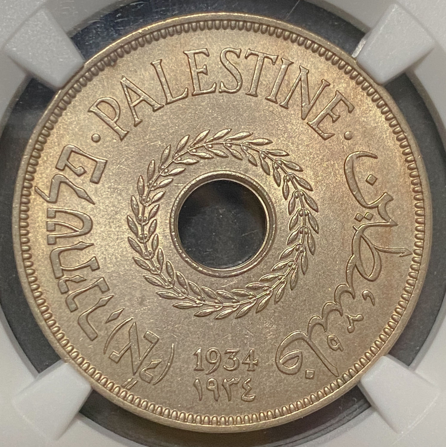 Palestine - 20 Mils 1934 - NGC MS 64 - 1 0