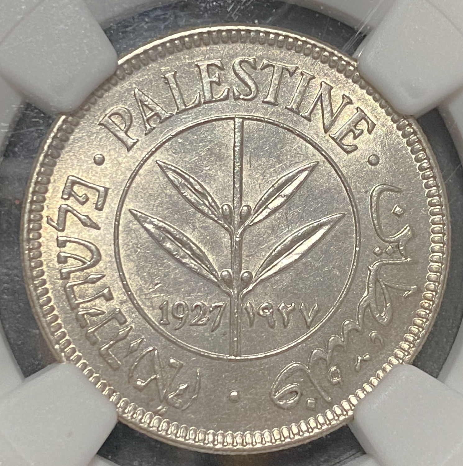 Palestine - 50 Mils 1927 - NGC MS 63 - 1 0