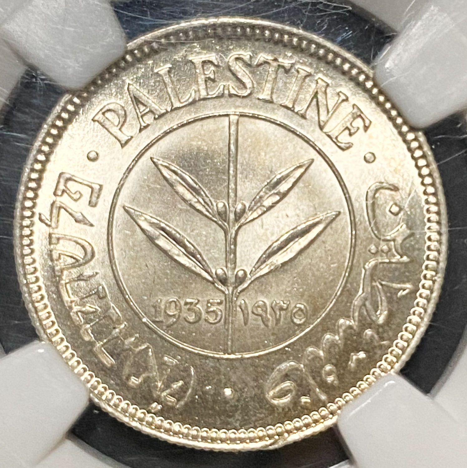 Palestine - 50 Mils 1935 - NGC MS 64 - 1 0