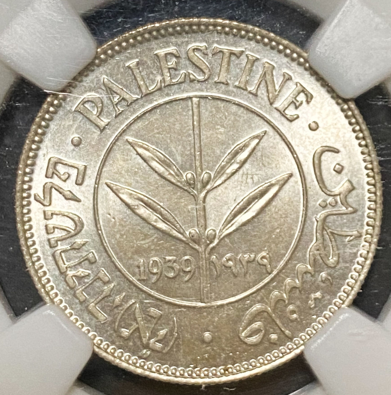 Palestine - 50 Mils 1939 - NGC MS 63 - 1 0