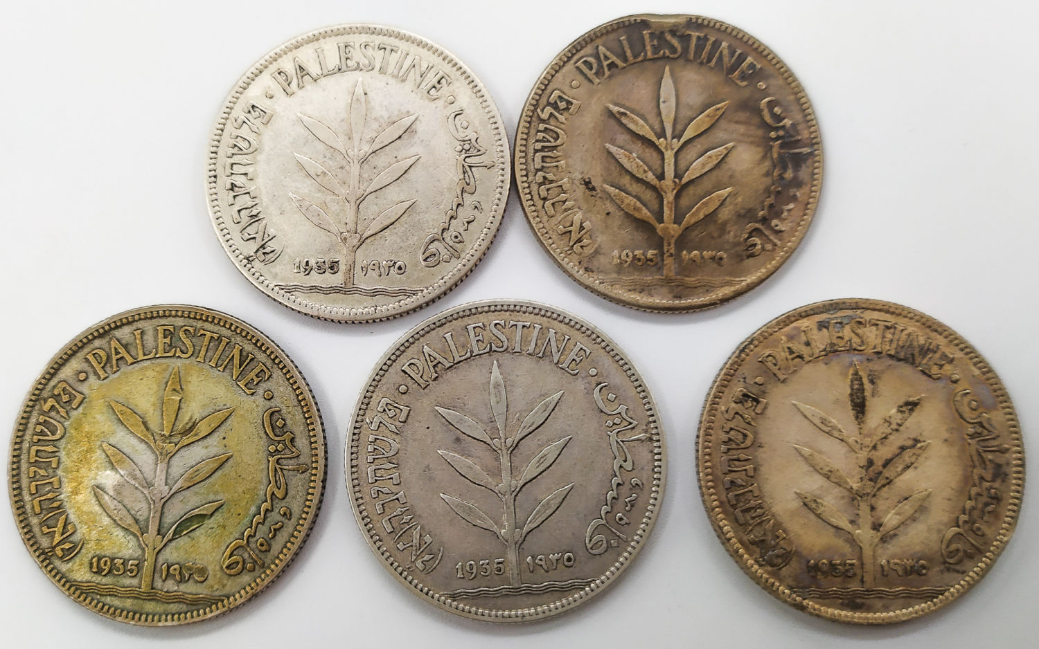 Palestine - Lot of 5 coins of 100 Mils - 1935 - 1 0
