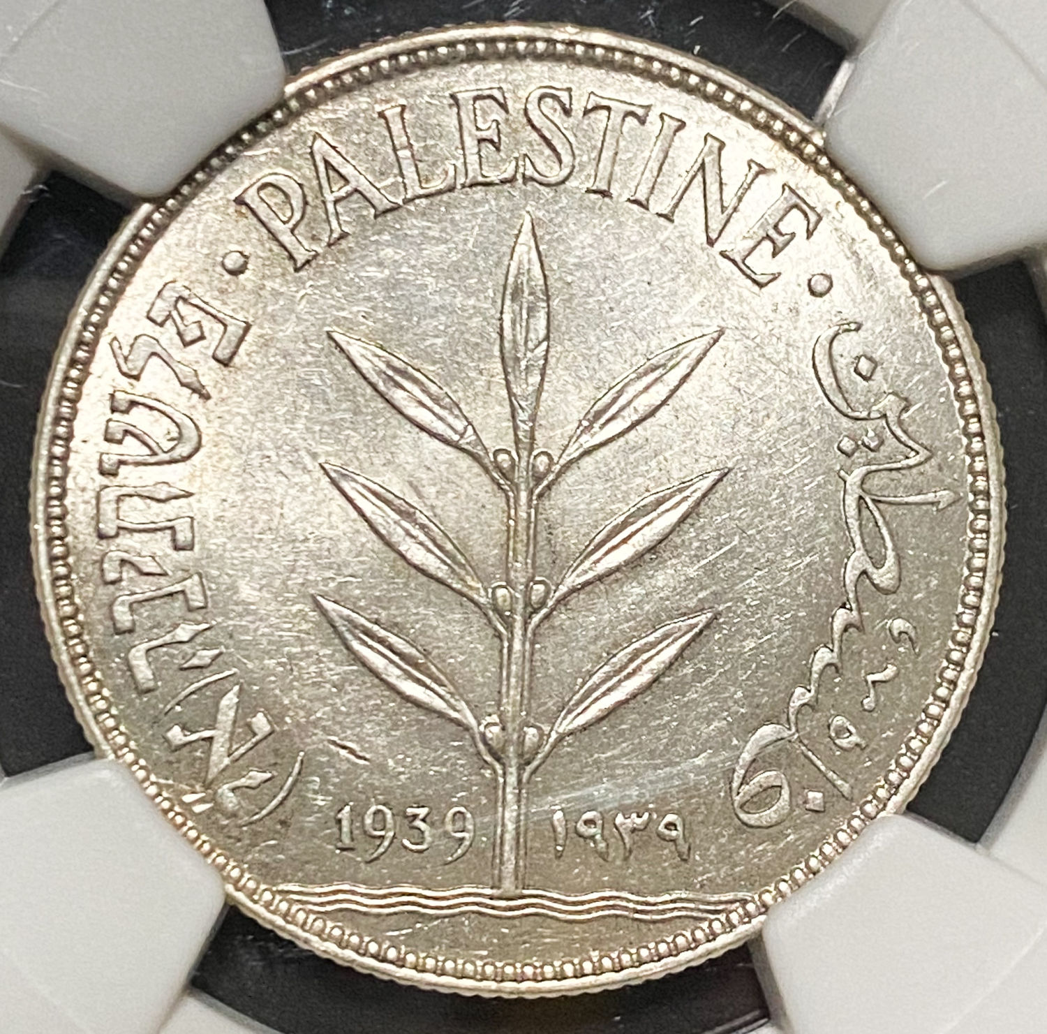 Palestine - 100 Mils 1939 - NGC MS 61 - 1 0