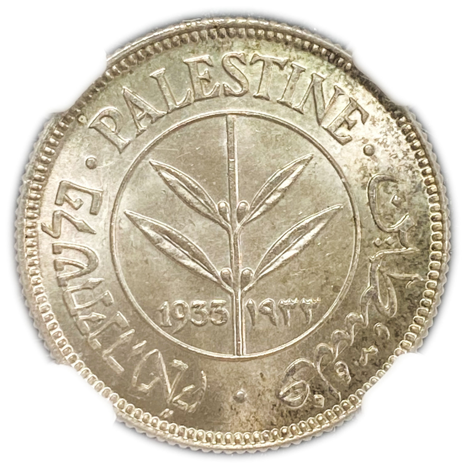 Palestine - 50 Mils 1933 - Very high grade - NGC MS 65
Mil was the Hebrew name of the coin that was ... - 1 0